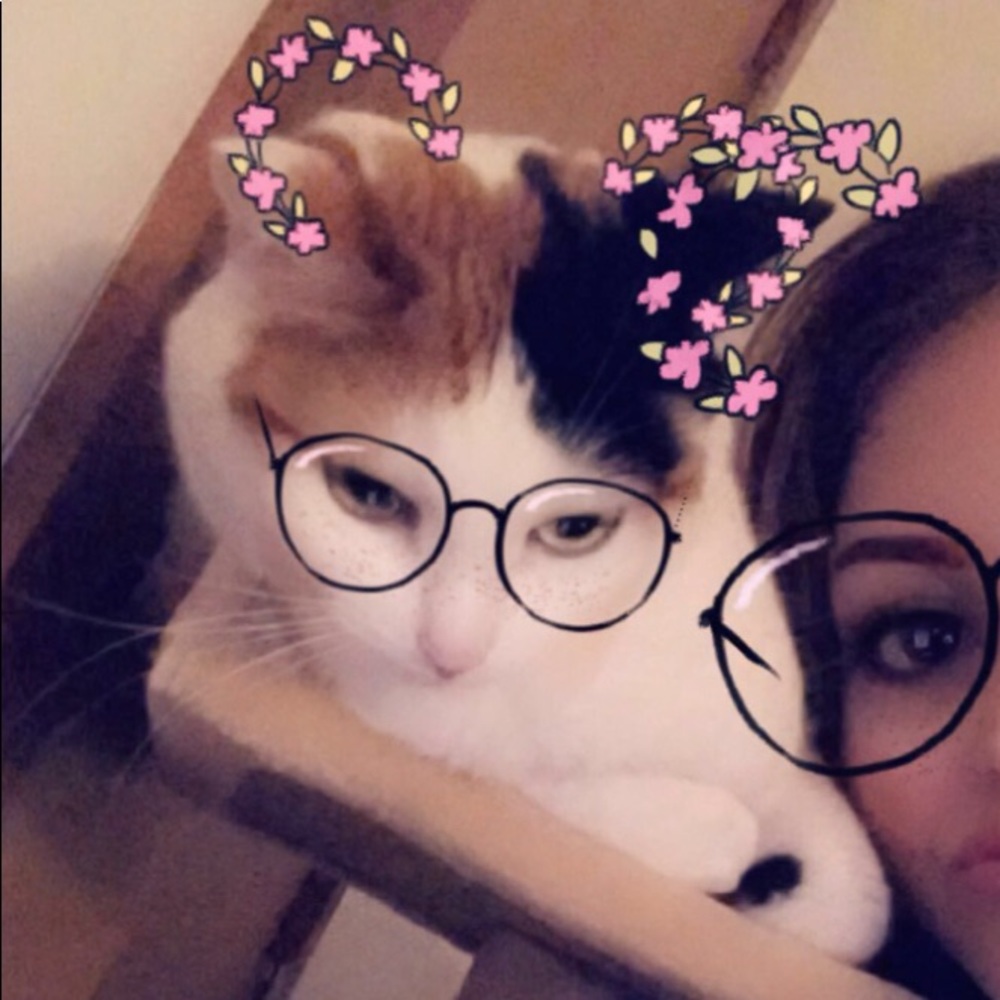 Meet your Posher, Mary